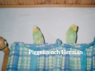 Piggelin och Herman